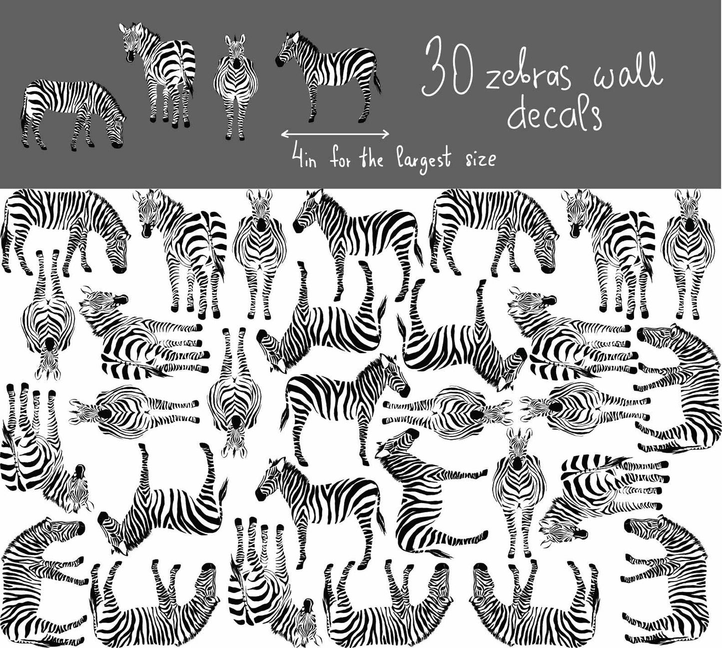 Zebra Wall Decals Horse Sticker, LF246