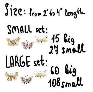 Butterfly Wall Decals Moth Stickers, LF260