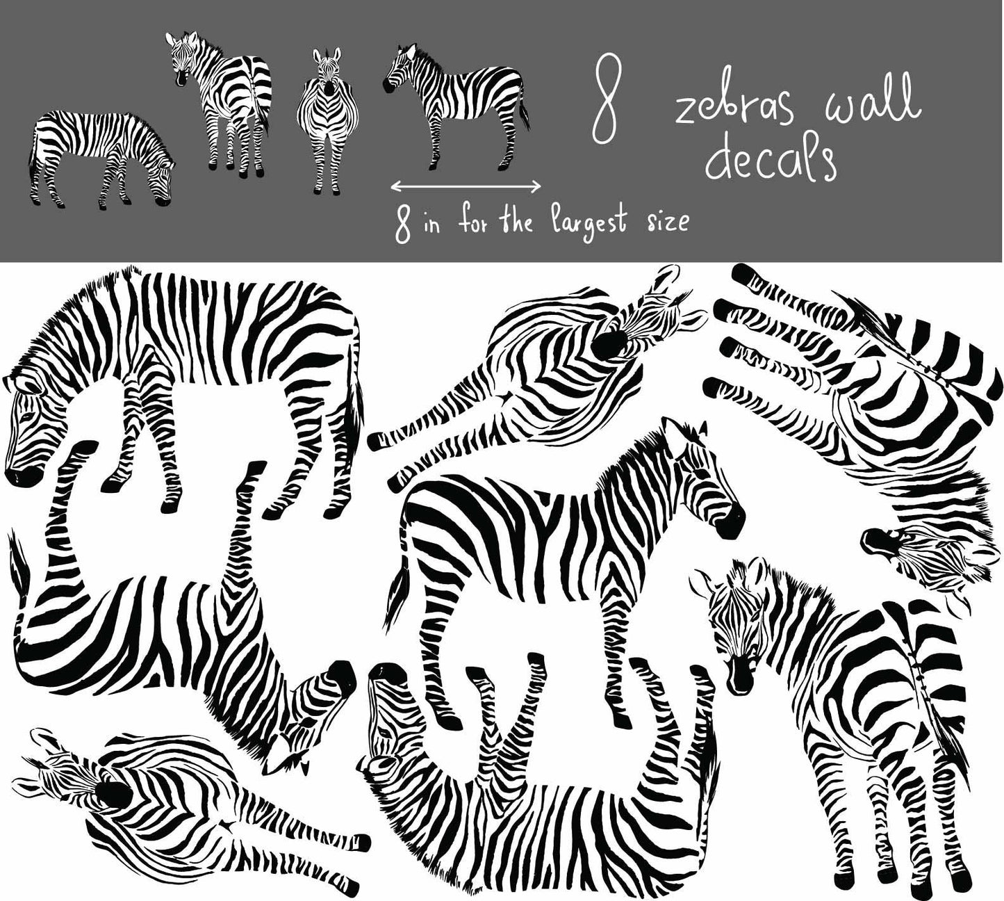 Zebra Wall Decals Horse Sticker,  LF245