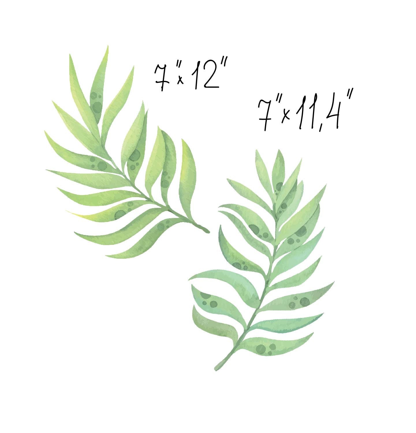Palm Leaves Wall Decals Greenery Stickers, LF264